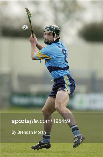 UCD v James Stephens - Leinster Club Hurling Final