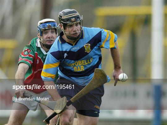 UCD v James Stephens - Leinster Club Hurling Final