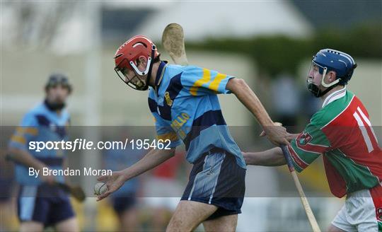 UCD v James Stephens - Leinster Club Hurling Final