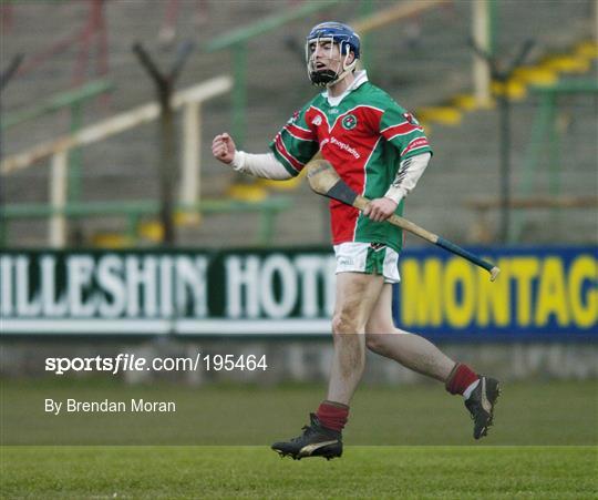 UCD v James Stephens - Leinster Club Hurling Final