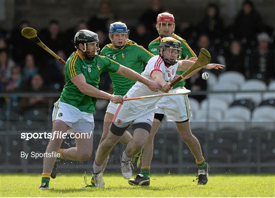 Tyrone v Leitrim - Allianz Hurling League 3B Final