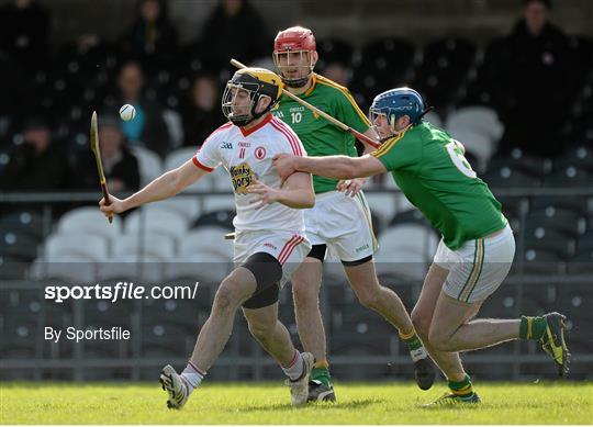 Tyrone v Leitrim - Allianz Hurling League 3B Final