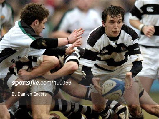 Newbridge College Vs Belvedere College Belvederes Editorial Stock