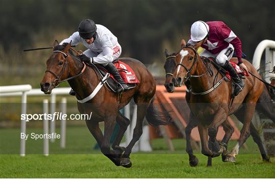 Horse Racing - Punchestown Festival