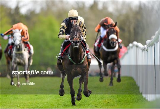 Horse Racing - Punchestown Festival