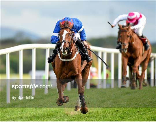 Horse Racing - Punchestown Festival