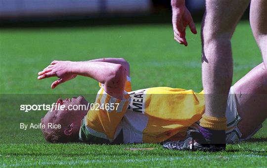 Offaly v Wexford - Guinness Leinster Senior Hurling Championship Semi-Final