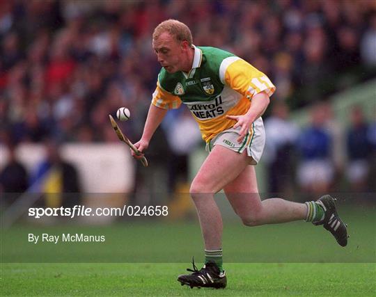 Offaly v Wexford - Guinness Leinster Senior Hurling Championship Semi-Final