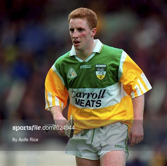 Offaly v Wexford - Guinness Leinster Senior Hurling Championship Semi-Final