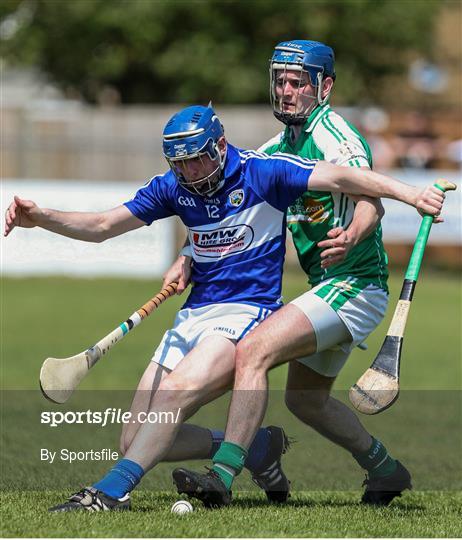 London v Laois - GAA All-Ireland Senior Hurling Championship Qualifier Group - Round 4