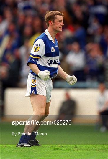 Dublin v Laois - Leinster Senior Football Championship Semi-Final