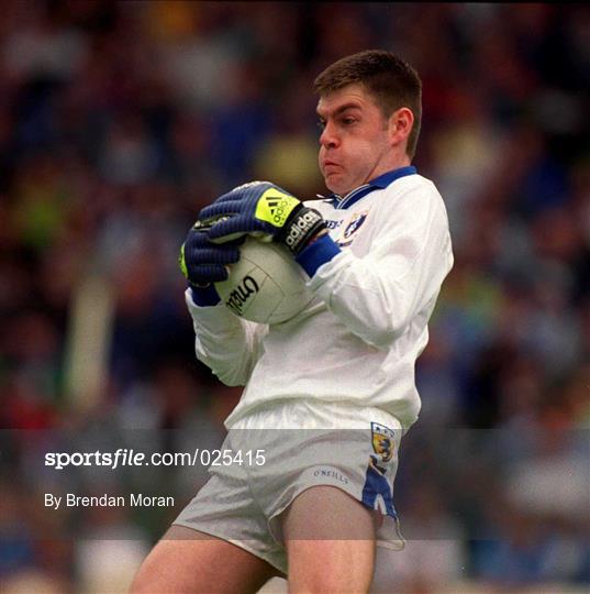 Dublin v Laois - Leinster Senior Football Championship Semi-Final