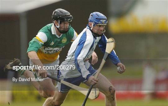 Offaly v Waterford - NHL
