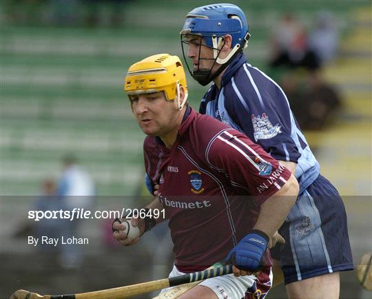 Dublin v Westmeath - NHL