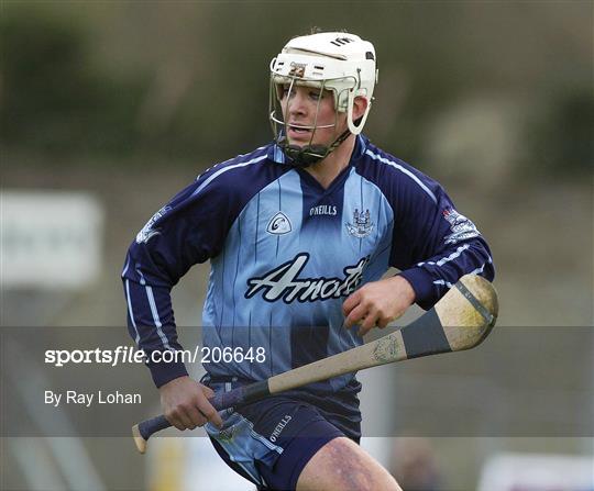 Dublin v Westmeath - NHL