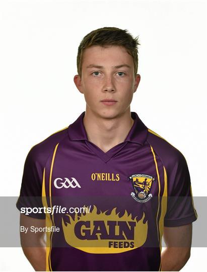 Wexford Football Squad Portraits 2014