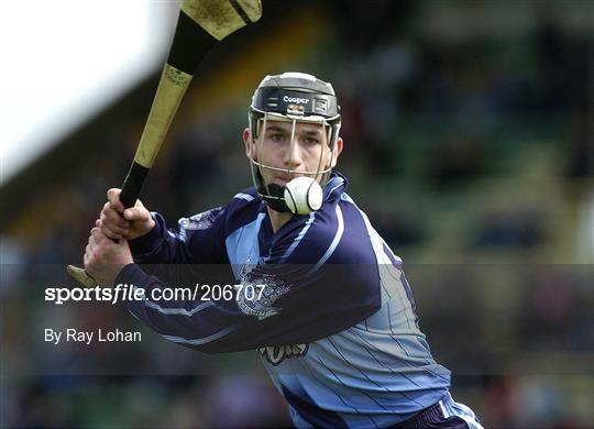 Dublin v Westmeath - NHL