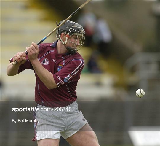 Dublin v Westmeath - NHL