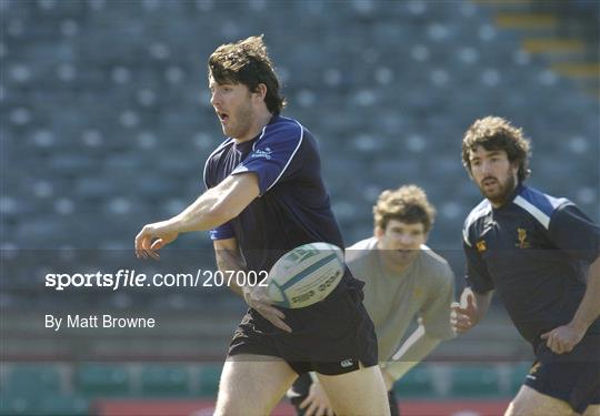 Leinster Captain's Run Friday