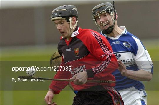 Laois v Down - National Hurling League, Division 1 Relegation Final