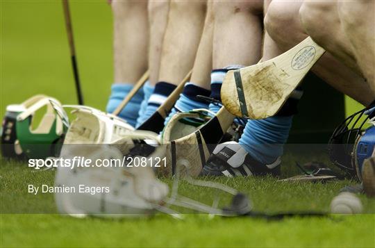 Dublin v Kerry - National Hurling League, Division 2 Final