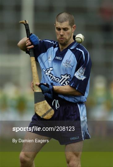 Dublin v Kerry - National Hurling League, Division 2 Final