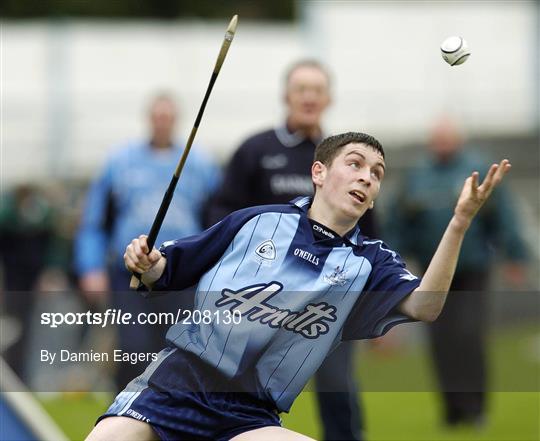 Dublin v Kerry - National Hurling League, Division 2 Final