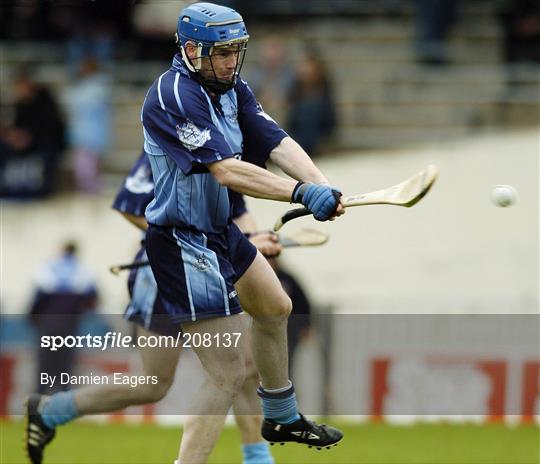 Dublin v Kerry - National Hurling League, Division 2 Final