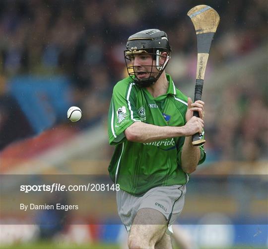 Kilkenny v Limerick - National Hurling League, Division 1 Final