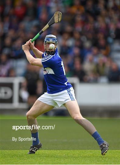 Galway v Laois - Leinster GAA Hurling Senior Championship Quarter-Final