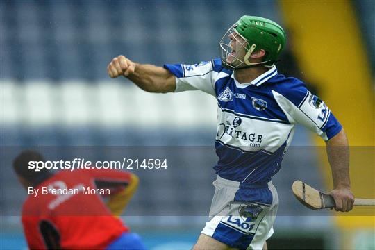 Laois v Waterford - SHC Qualifier