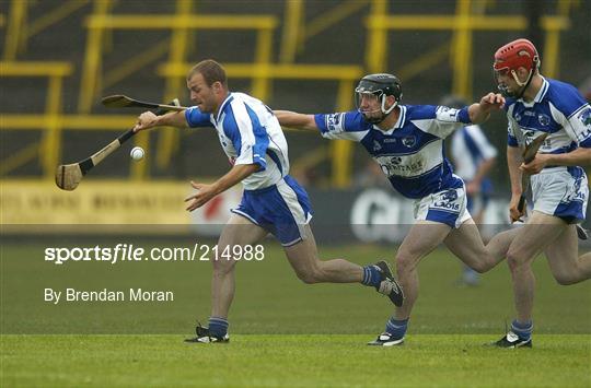 Laois v Waterford - SHC Qualifier