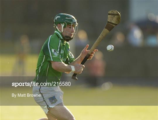 Offaly v Limerick - SHC Qualifier