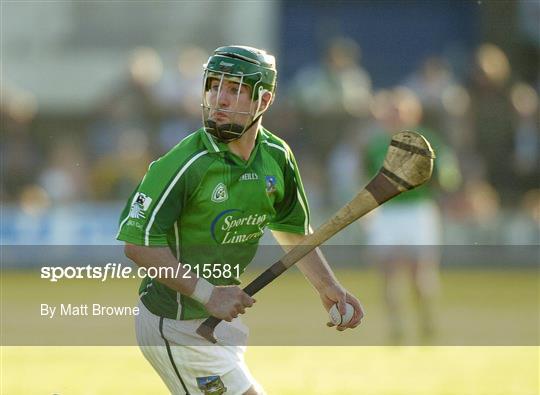 Offaly v Limerick - SHC Qualifier