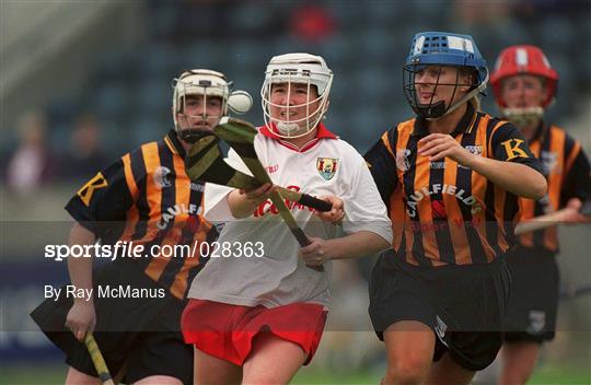 Tipperary v Cork - Bórd na Gaeilge All-Ireland Senior Camogie Championship Semi-Final