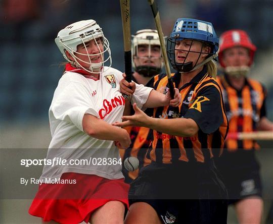 Tipperary v Cork - Bórd na Gaeilge All-Ireland Senior Camogie Championship Semi-Final