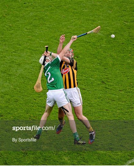 Kilkenny v Limerick - GAA Hurling All-Ireland Senior Championship Semi-Final