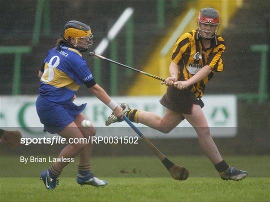 St Lachtain's v O'Donovan Rossa - All-Ireland Senior Camogie Club Championship Final