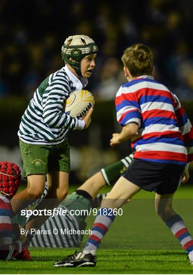 Bank of Ireland's Half-Time Minis at Leinster v Cardiff Blues - Guinness PRO12 Round 4