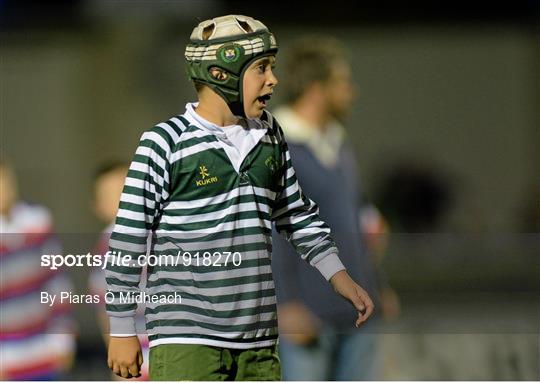 Bank of Ireland's Half-Time Minis at Leinster v Cardiff Blues - Guinness PRO12 Round 4