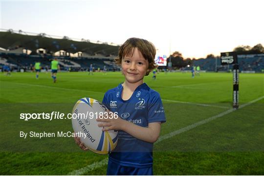 Mascots at Leinster v Cardiff Blues - Guinness PRO12 Round 4