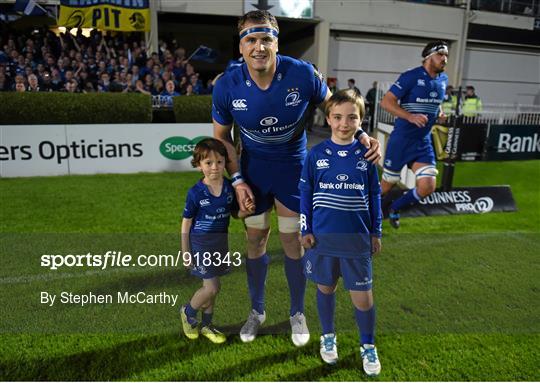 Mascots at Leinster v Cardiff Blues - Guinness PRO12 Round 4