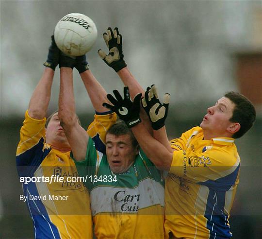 Offaly v Roscommon - Allianz Football League Division 2A Round 6