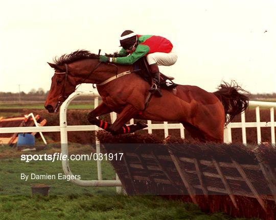 Horse racing from Fairyhouse