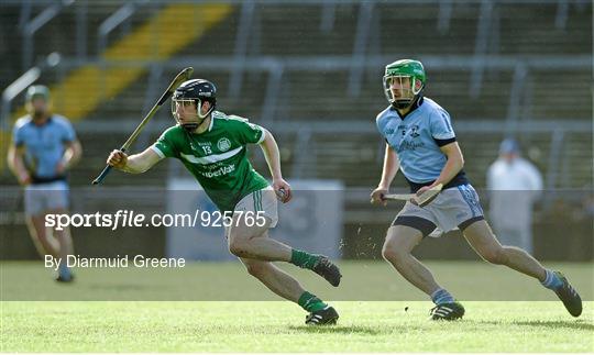 Na Piarsaigh v Kilmallock - Limerick County Senior Hurling Championship Final