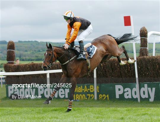 Punchestown National Hunt Festival - Tuesday