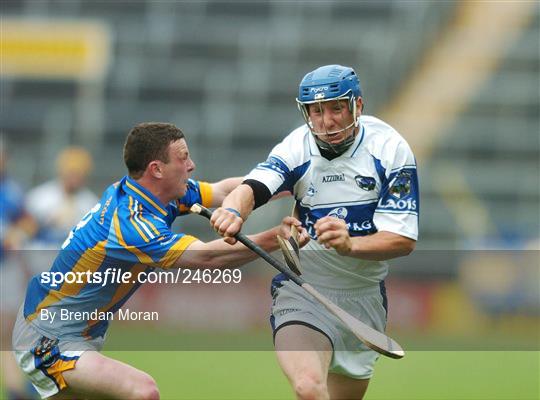 Wicklow v Laois - Allianz NHL Division 2 Final