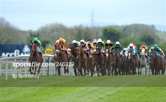 Punchestown National Hunt Festival - Tuesday