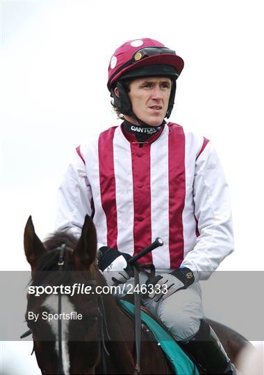 Punchestown National Hunt Festival - Tuesday