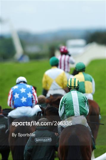 Punchestown National Hunt Festival - Tuesday